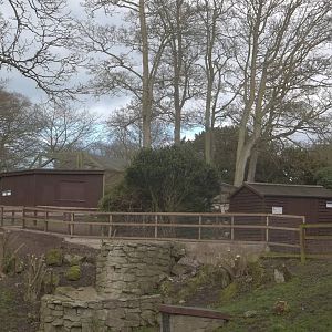 View of renewed pathway and bridge from bottom of zoo, 17th April 2016
