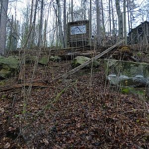 Zoo Jihlava 04/2016: Lynx enclosure