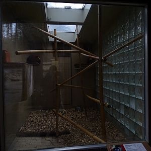 Zoo Jihlava 04/2016: Lemur indoor enclosure