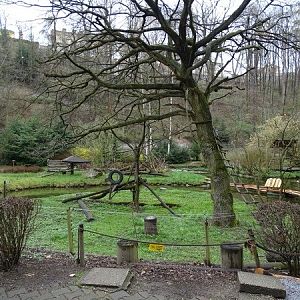 Zoo Jihlava 04/2016: Island for lemurs