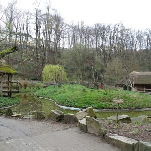 Zoo Jihlava 04/2016: Ring-tailed Lemur enclosure