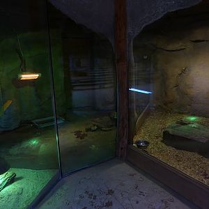 Zoo Jihlava 04/2016: Mongoose / reptile enclosures