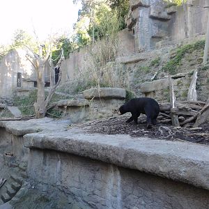 Wellington zoo: circa 2010