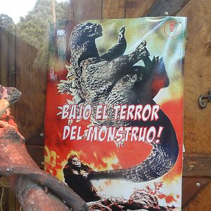 Wellington zoo: circa 2010