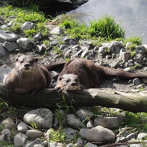 Wellington zoo: circa 2010