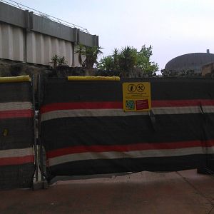 Humboldt penguin enclosure under reconstruction.