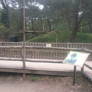 White-cheeked gibbon enclosure