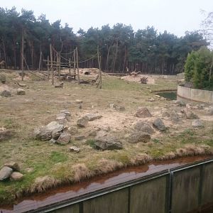 Bear and monkey enclosure