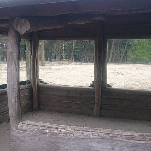 View in former Bear enclosure