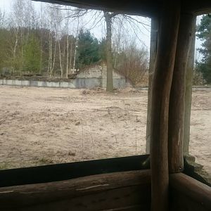 Former Bear enclosure under construction