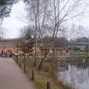 Restaurant with view on Gibbon island