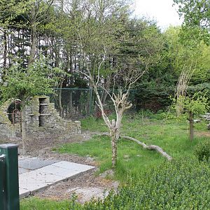 Construction site new aviary