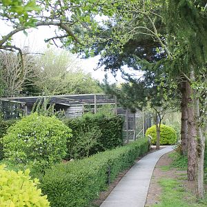 Path-way to owl aviaries