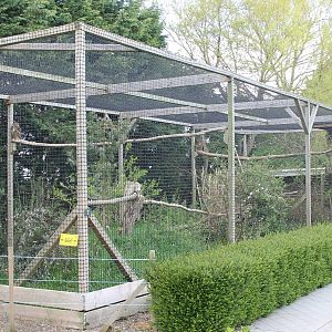 European eagle owl aviary