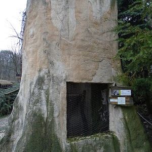 Zoo Jihlava 04/2016: Little owl enclosure