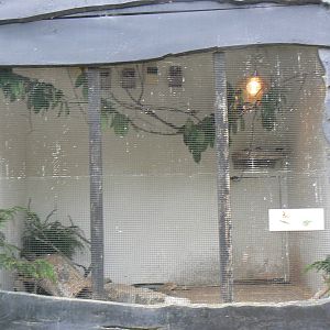 View of Bengalese Finch Aviary- 24 April 2016