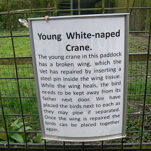 Notice - 24 April 2016