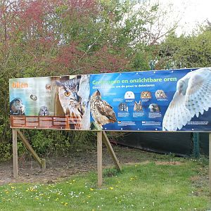 Owl information board