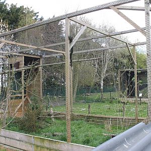 Barn owl aviary