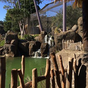 Pridelands Escarpment, Waterfall