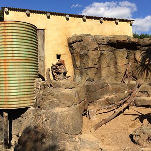 Pridelands Escarpment, Meerkat Enclosure