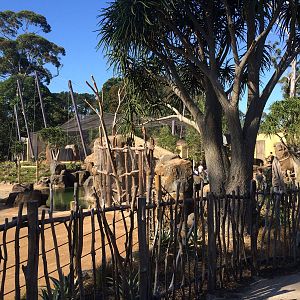 Pridelands Escarpment, April 2016