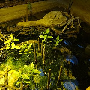 Zoo Jihlava 04/2016: Tropical Pavillon