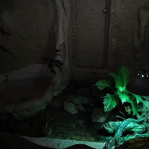 Zoo Jihlava 04/2016: Tropical Pavillon