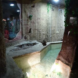 Zoo Jihlava 04/2016: Tropical Pavillon