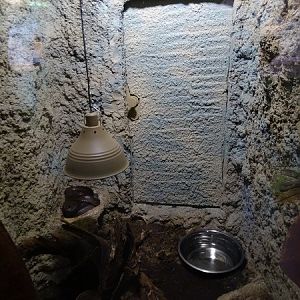 Zoo Jihlava 04/2016: Tropical Pavillon