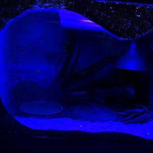 Zoo Jihlava 04/2016: Tropical Pavillon