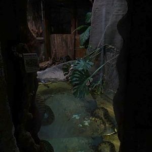 Zoo Jihlava 04/2016: Tropical Pavillon