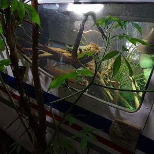 Zoo Jihlava 04/2016: Tropical Pavillon