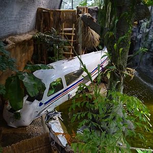 Zoo Jihlava 04/2016: Tropical Pavillon