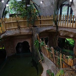 Zoo Jihlava 04/2016: Tropical Pavillon