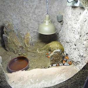 Zoo Jihlava 04/2016: Tropical Pavillon