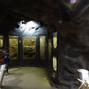 Zoo Jihlava 04/2016: Tropical Pavillon