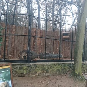 Owl aviary