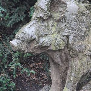 Wild boar statue
