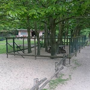 Llama and Patagonian cavy enclosure
