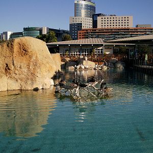 Oceanographic Valencia: circa 2013