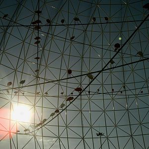 Oceanographic Valencia: circa 2013