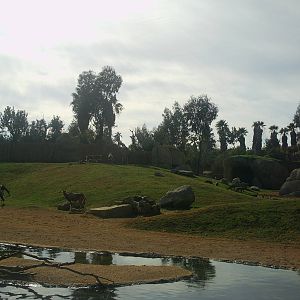 Bioparc Valencia: circa 2013
