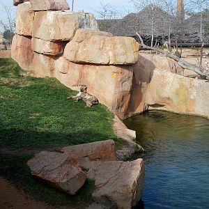 Bioparc Valencia: circa 2013