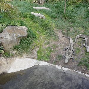 Auckland Zoo: circa 2011