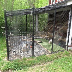 Kids Farm - Chicken Coop