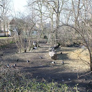 Stork and crane enclosure