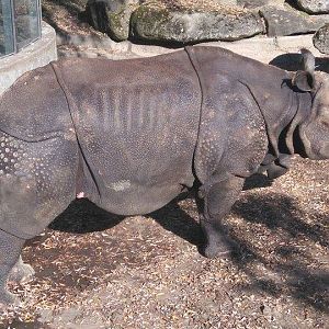 Zoo in Munich (Tierpark Hellabrun), November 11th, 2015