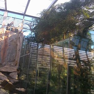 Zoo in Munich (Tierpark Hellabrun), November 11th, 2015