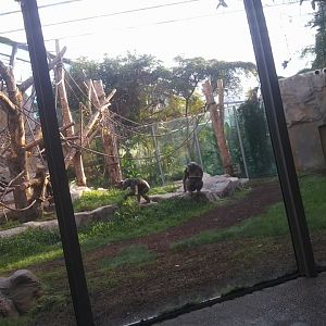 Zoo in Munich (Tierpark Hellabrun), November 11th, 2015